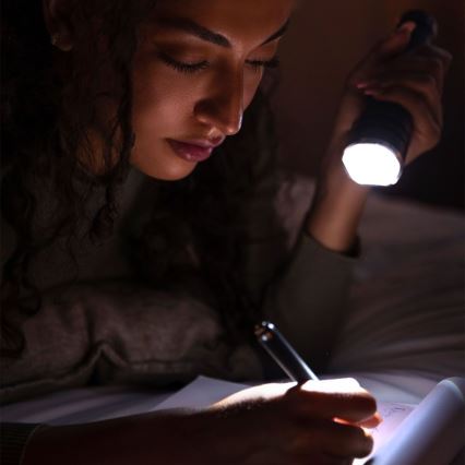 LED Polnilna baterijska svetilka USB LED/10W/5V IP54 2000 mAh 1000 sijajni