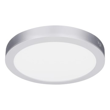 LED površinski/vgradni panel 2 v 1, 24 W/230 V, 3000/4000/6000 K, premer 30 cm, IP54, srebrna