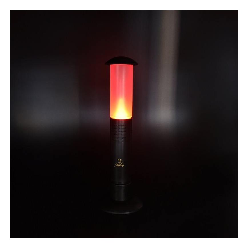 LED Prenosna svetilka 2xLED/1xD IPX4