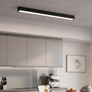 LED pritrjena/lestenec na kablu LED/44W/230V 4000K 120 cm črna