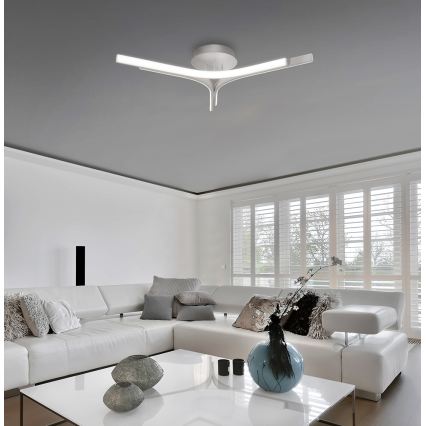 LED pritrjena stropna svetilka ALTA LED/30W/230V, srebrna