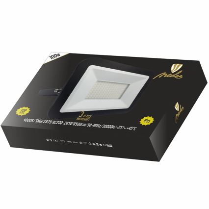 LED Reflektor LED/100W/230V IP65