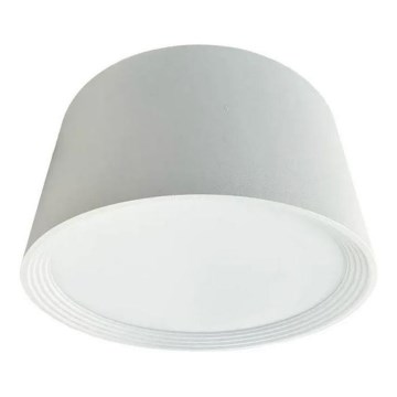 LED Reflektor LED/17W/230V 4000K pr. 15 cm bela