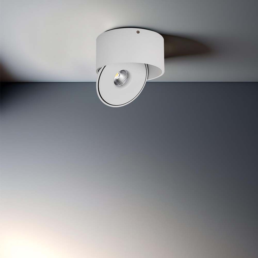LED Nastavljiv reflektor LED/20W/230V 3000/4000/6400K CRI 90 bela