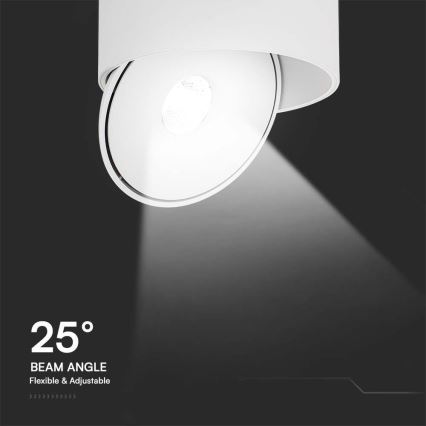 LED Nastavljiv reflektor LED/20W/230V 3000/4000/6400K CRI 90 bela