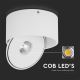 LED Nastavljiv reflektor LED/20W/230V 3000/4000/6400K CRI 90 bela
