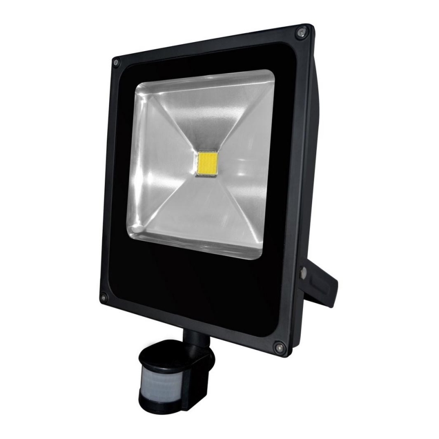 LED Reflektor s senzorjem gibanja DAISY LED/50W/230V IP44