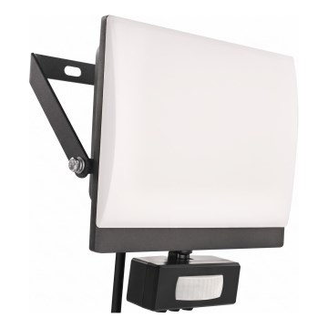 LED reflektor s senzorjem gibanja in mraka TAMBO EVO LED/30W/230V 4000K IP44 črna