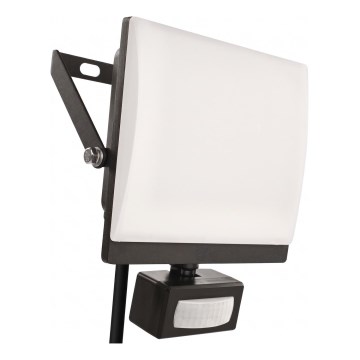 LED reflektor s senzorjem gibanja in mraka TAMBO EVO LED/50W/230V 4000K IP44 črn