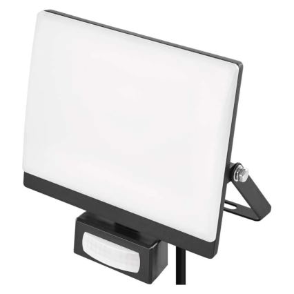 LED reflektor s senzorjem gibanja in mraka TAMBO EVO LED/30W/230V 4000K IP44 črna