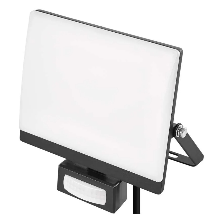 LED reflektor s senzorjem gibanja in mraka TAMBO EVO LED/30W/230V 4000K IP44 črna