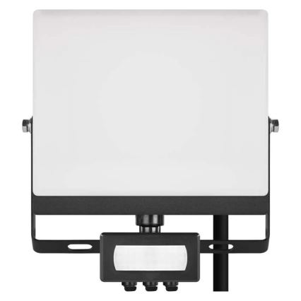 LED reflektor s senzorjem gibanja in mraka TAMBO EVO LED/30W/230V 4000K IP44 črna
