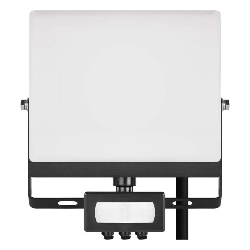 LED reflektor s senzorjem gibanja in mraka TAMBO EVO LED/30W/230V 4000K IP44 črna