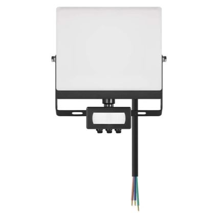 LED reflektor s senzorjem gibanja in mraka TAMBO EVO LED/30W/230V 4000K IP44 črna