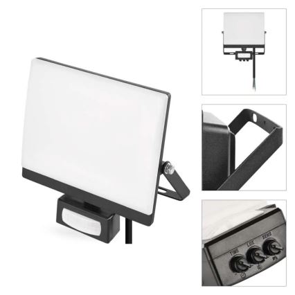 LED reflektor s senzorjem gibanja in mraka TAMBO EVO LED/30W/230V 4000K IP44 črna