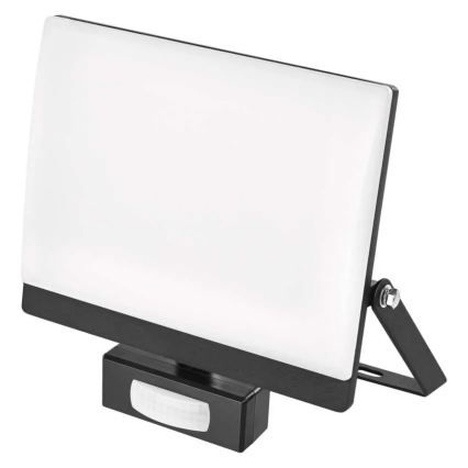 LED reflektor s senzorjem gibanja in mraka TAMBO EVO LED/50W/230V 4000K IP44 črn