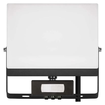 LED reflektor s senzorjem gibanja in mraka TAMBO EVO LED/50W/230V 4000K IP44 črn