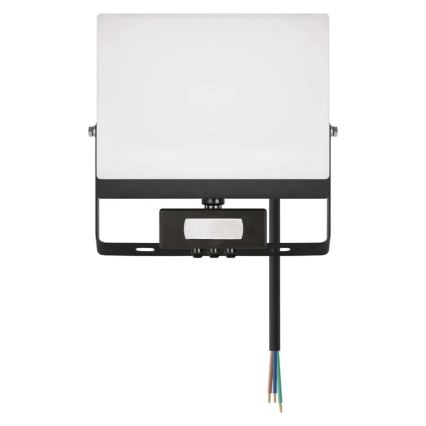 LED reflektor s senzorjem gibanja in mraka TAMBO EVO LED/50W/230V 4000K IP44 črn