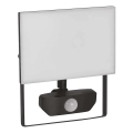 LED Reflektor s senzorjem TAMBO LED/30W/230V 4000K IP54