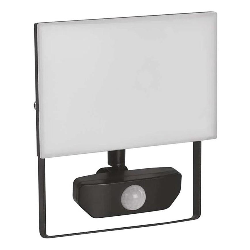 LED Reflektor s senzorjem TAMBO LED/30W/230V 4000K IP54