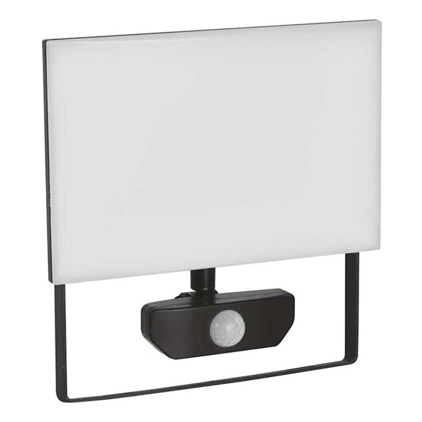 LED Reflektor s senzorjem TAMBO LED/50W/230V 4000K IP54