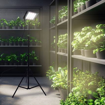 LED Reflektor s stojalom za gojenje rastlin FIRON LED/45W/230V IP54 črna
