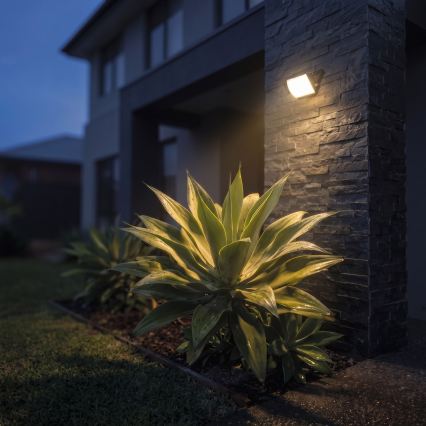 LED reflektor TAMBO EVO LED/10W/230V 4000K IP65 črna