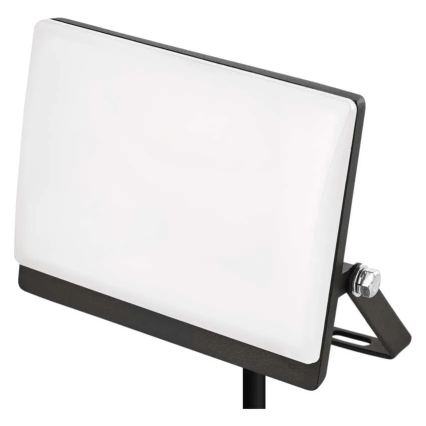 LED Reflektor TAMBO EVO LED/20W/230V 4000K IP65 črn
