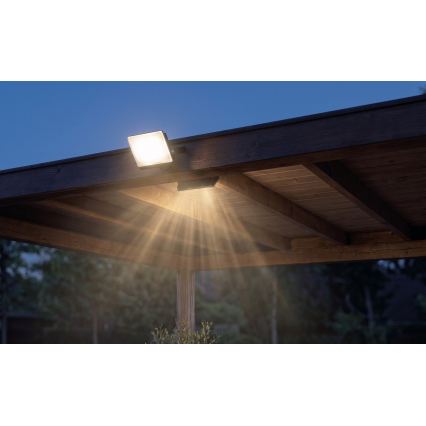 LED reflektor TAMBO EVO LED/30W/230V 4000K IP65 črna