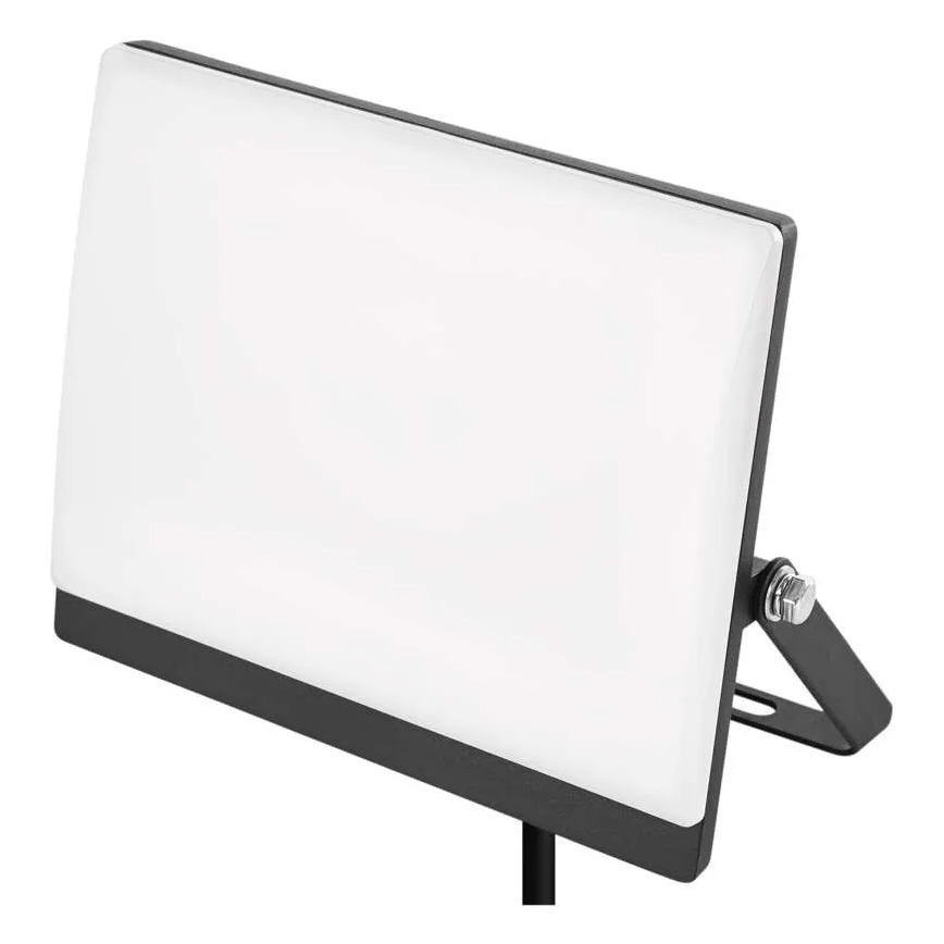 LED reflektor TAMBO EVO LED/30W/230V 4000K IP65 črna