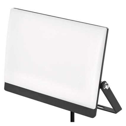 LED reflektor TAMBO EVO LED/50W/230V 4000K IP65 črna