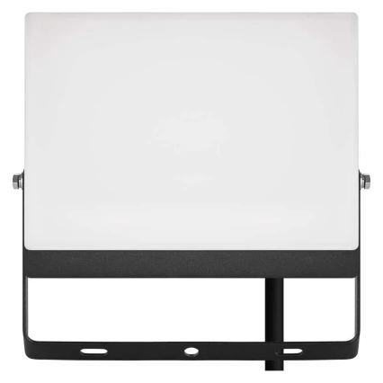 LED reflektor TAMBO EVO LED/50W/230V 4000K IP65 črna