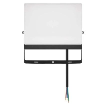 LED reflektor TAMBO EVO LED/50W/230V 4000K IP65 črna