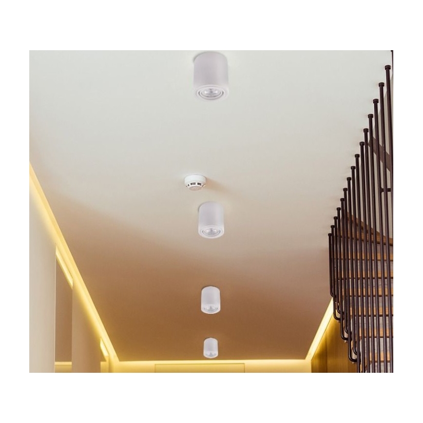 LED Reflektor TUBA 1xGU10/5W/230V 2700K bel