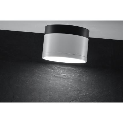 LED Reflektor TUBA LED/9W/230V črn/bel