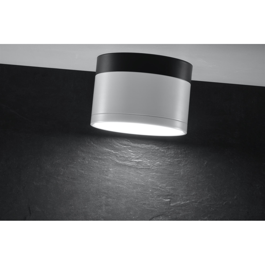 LED Reflektor TUBA LED/9W/230V črn/bel