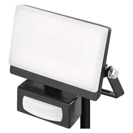 LED reflektor z detektorjem gibanja in senzorjem mraka TAMBO EVO LED/10W/230V 4000K IP44 črna