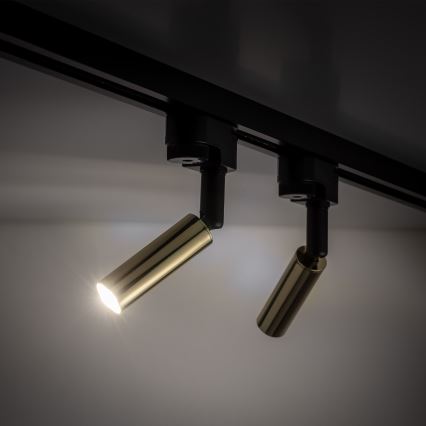 LED Reflektor za 1-fazni tračni sistem LAGOS 1xG9/3W/230V zlata/črna