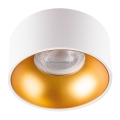 LED Reflektorska vgradna svetilka MINI RITI 1xGU10/25W/230V bela/zlata