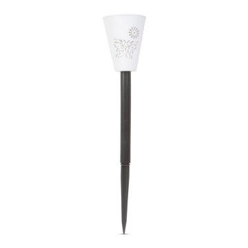 LED RGB Solarna svetilka LED/1xAAA IP44