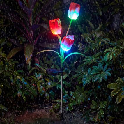 LED RGB solarno dekorativno svetilo 3xLED/3,7V 200 mAh IP44 tulipan