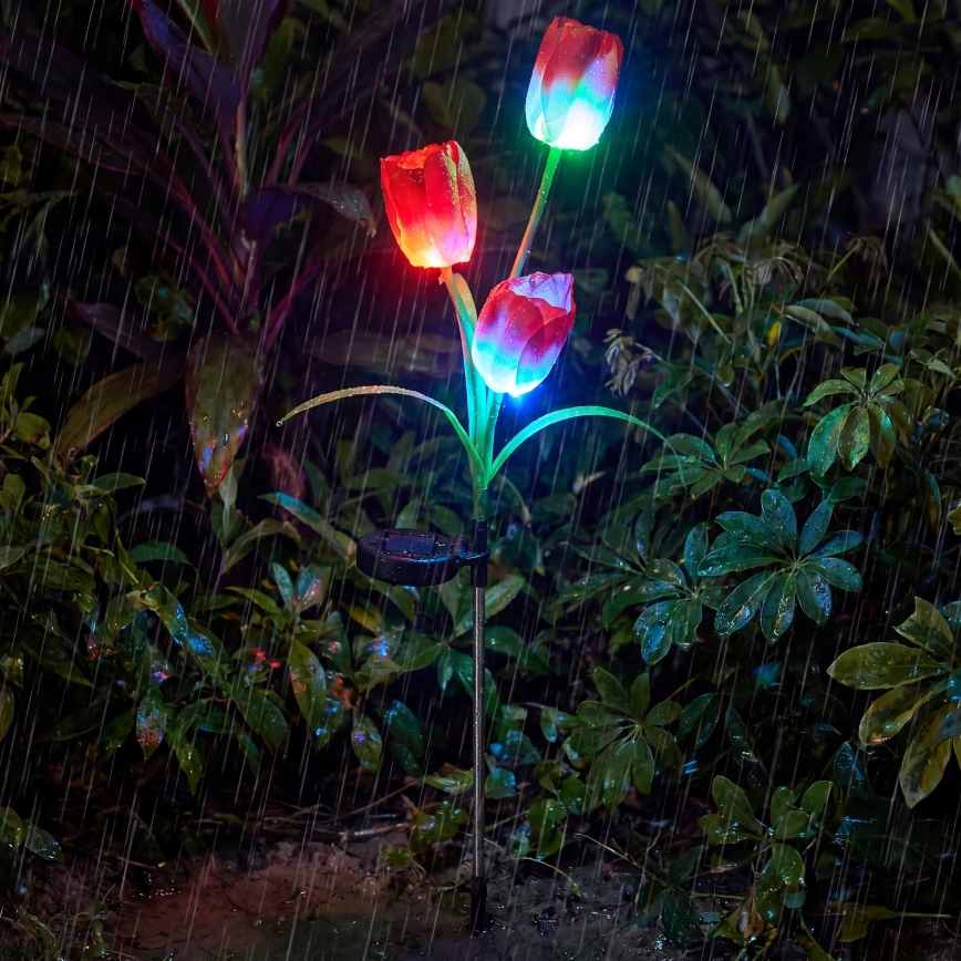 LED RGB solarno dekorativno svetilo 3xLED/3,7V 200 mAh IP44 tulipan