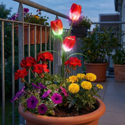 LED RGB solarno dekorativno svetilo 3xLED/3,7V 200 mAh IP44 tulipan