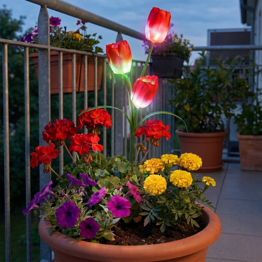 LED RGB solarno dekorativno svetilo 3xLED/3,7V 200 mAh IP44 tulipan