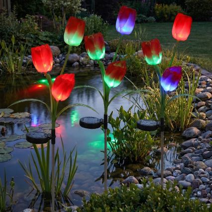 LED RGB solarno dekorativno svetilo 3xLED/3,7V 200 mAh IP44 tulipan