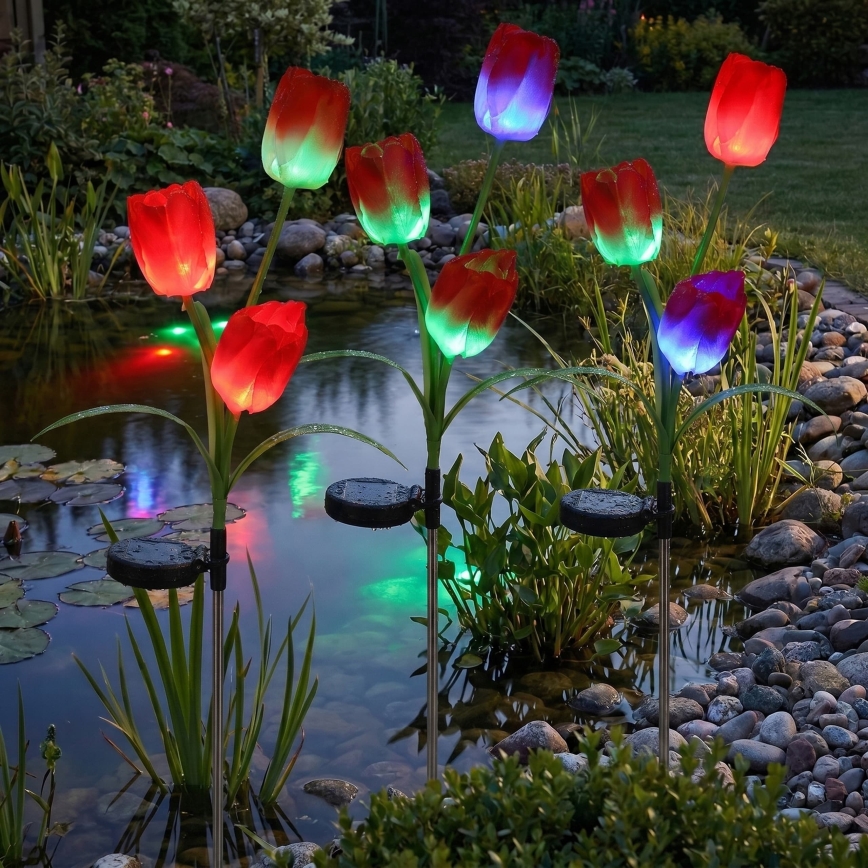 LED RGB solarno dekorativno svetilo 3xLED/3,7V 200 mAh IP44 tulipan