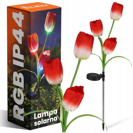 LED RGB solarno dekorativno svetilo 3xLED/3,7V 200 mAh IP44 tulipan