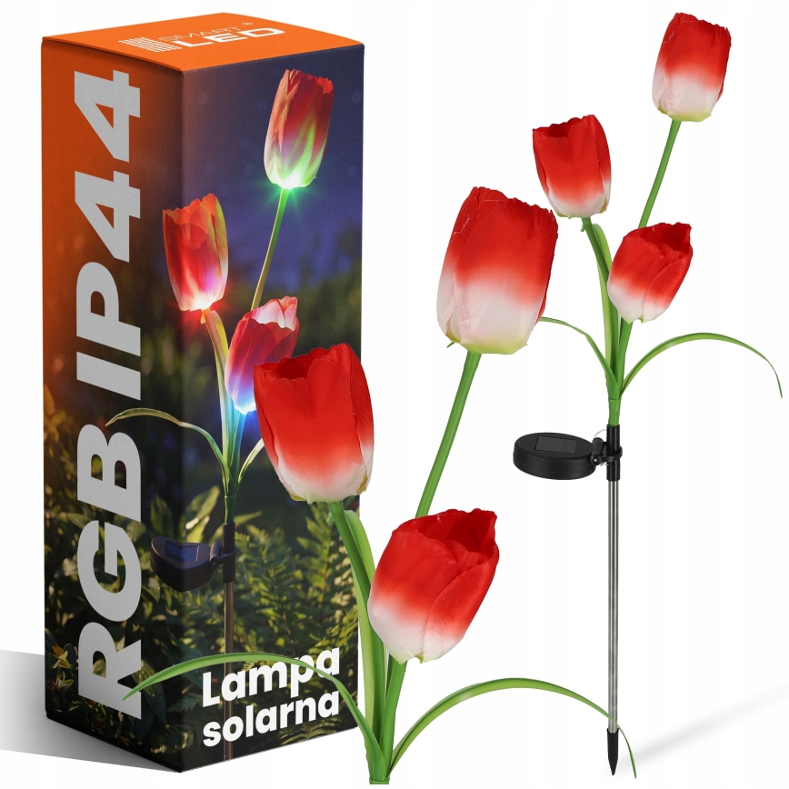 LED RGB solarno dekorativno svetilo 3xLED/3,7V 200 mAh IP44 tulipan