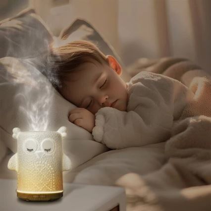 LED RGBW Aroma difuzor LED/8W/230V 100 ml sova
