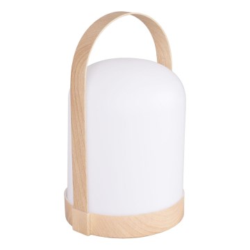 LED RGBW Dekorativna namizna svetilka MINORKA LED/0,3W/4,5V 3xAA